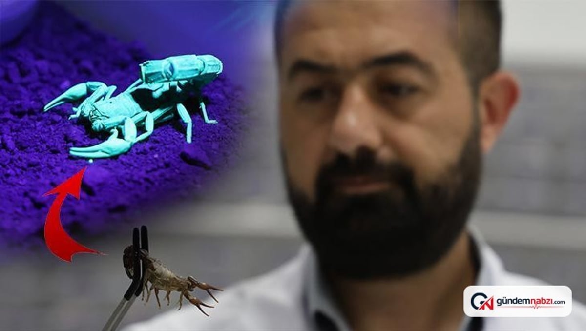 Elazığ'da akrep yetiştiren tesis, 5 bin akrepten zehir üretiyor