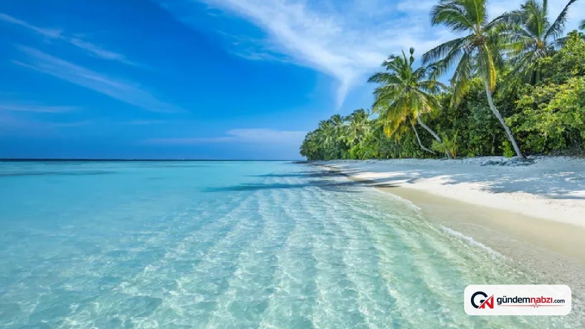 Palawan'daki ada 17 yapay zekâ ile yönetiliyor