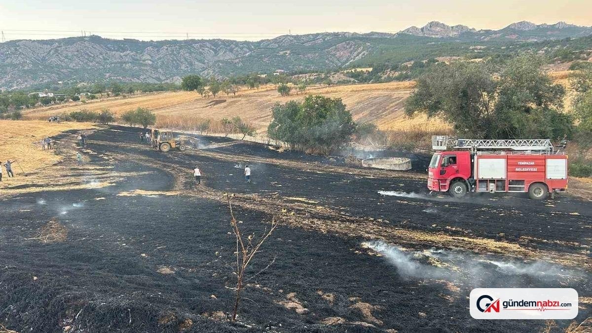 Bilecik'te biçilmiş buğday tarlasında yangın çıktı