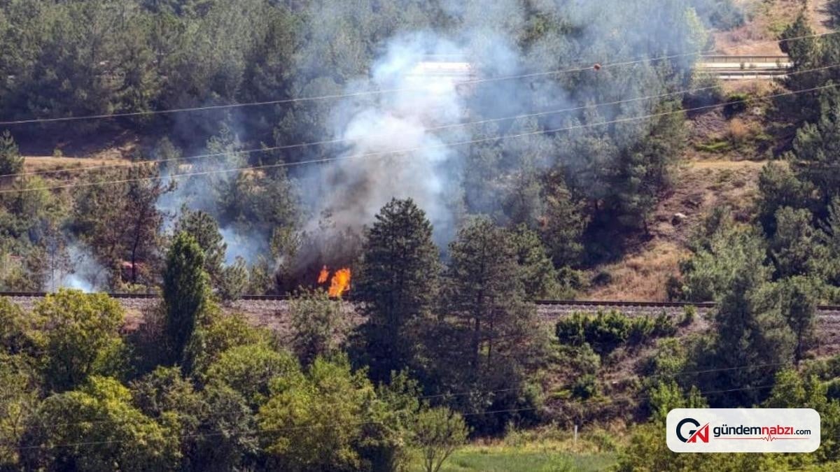 Karabük'te tren raylarındaki yangın büyümeden söndürüldü