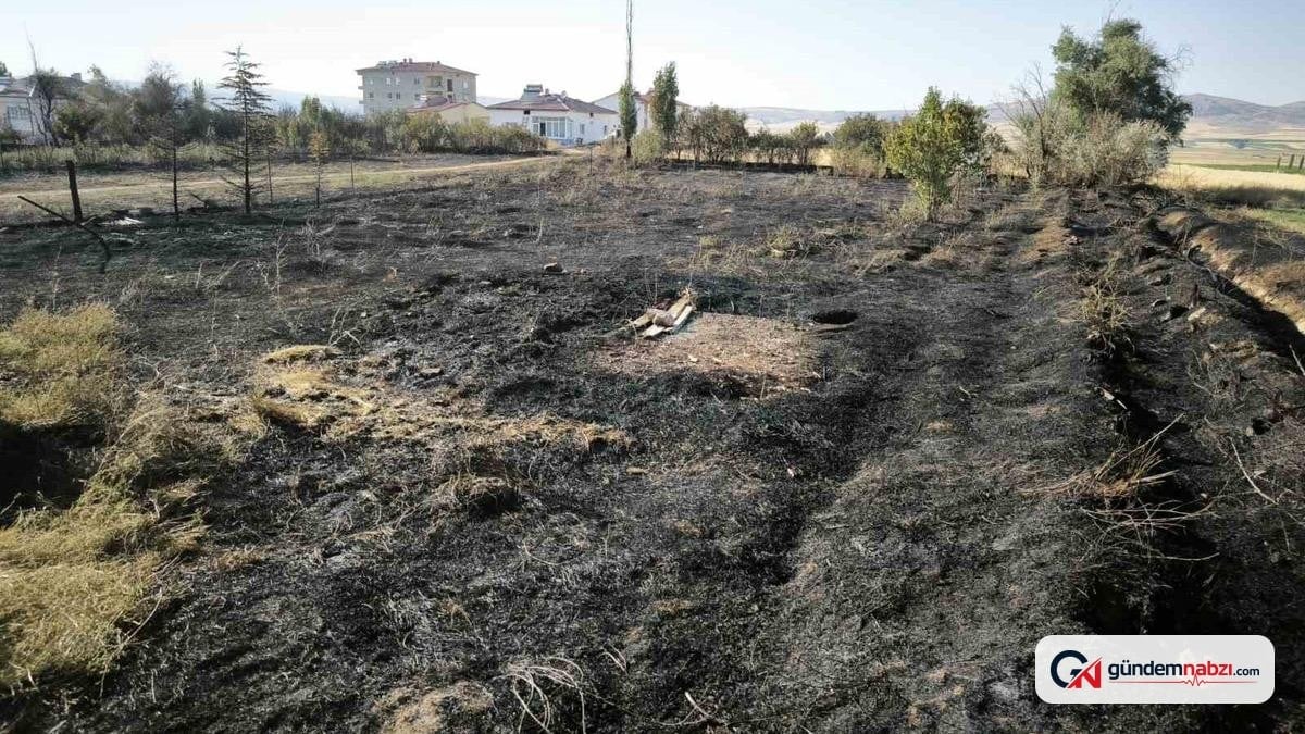 Sivas Altınyayla'da bahçe yangını evlere sıçramadan söndürüldü