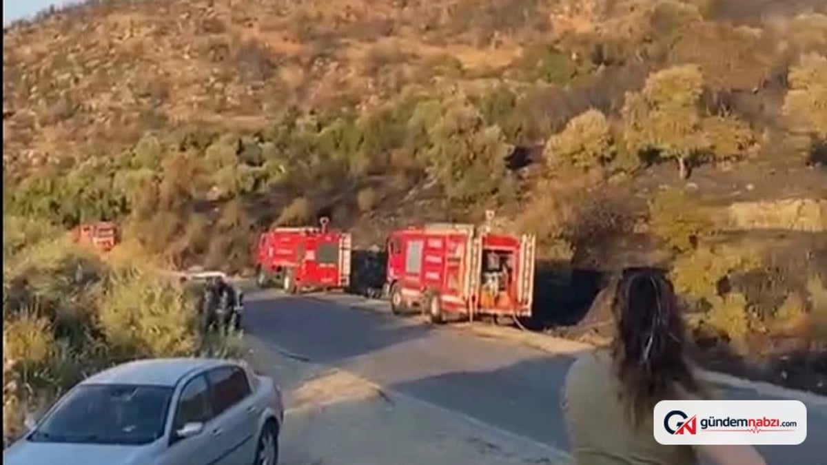 Aydın'da orman yangını söndürüldü