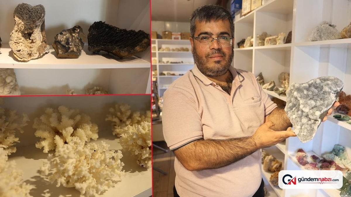 Ayağı taşa takıldı, 79 ilden topladığı taşların tanesini 50 bin TL'ye satıyor