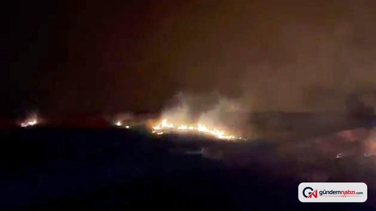 Elazığ’ın Palu ilçesindeki dağlık alanda yangın söndürüldü
