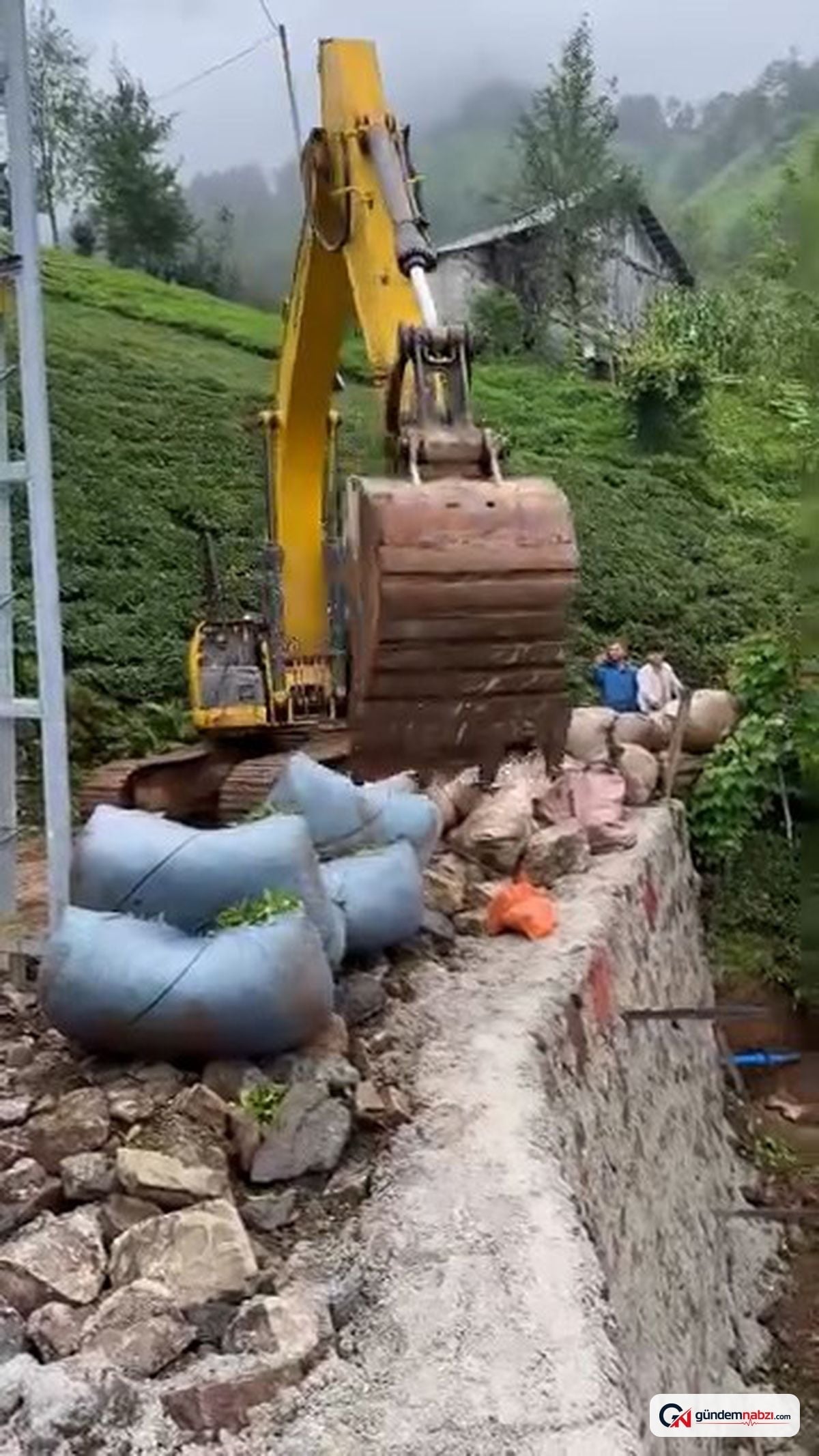 Rize'de çay hasadında iş makinesi kullanıldı