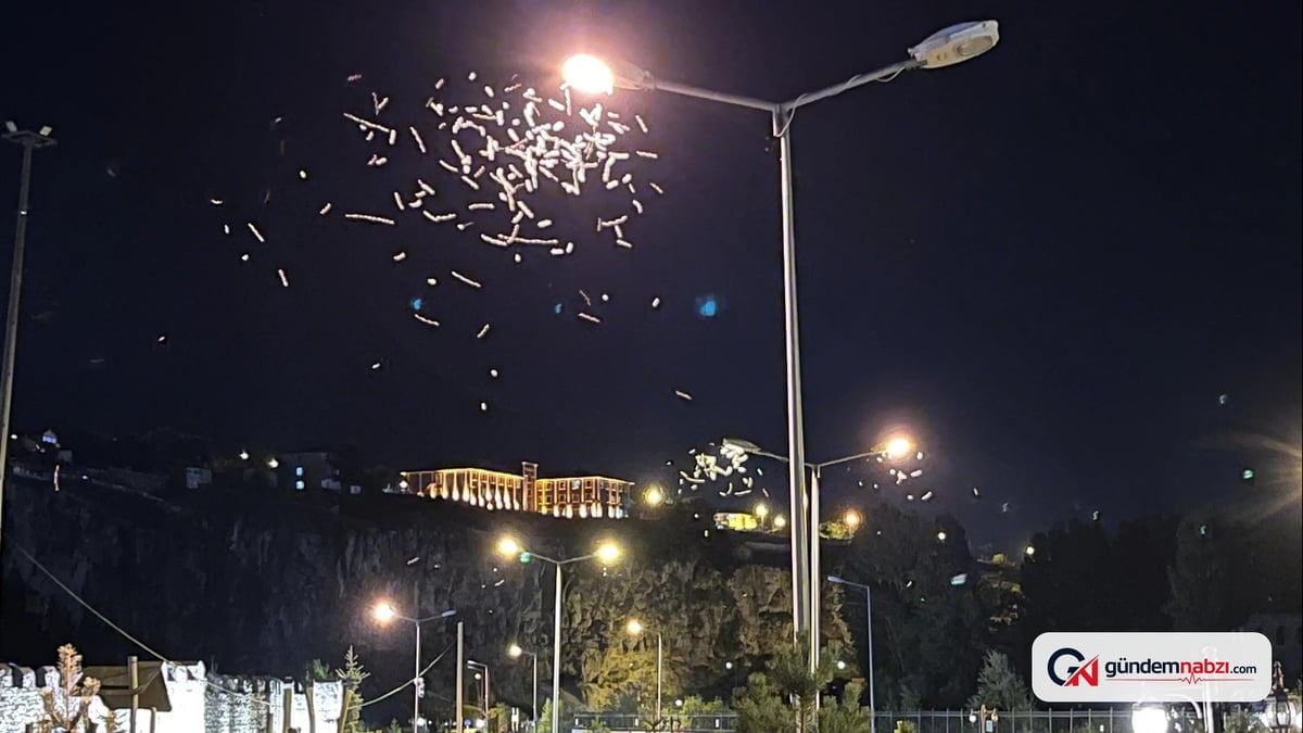 Ardahan’da milyonlarca kelebek, ışıkların etrafında dans etti
