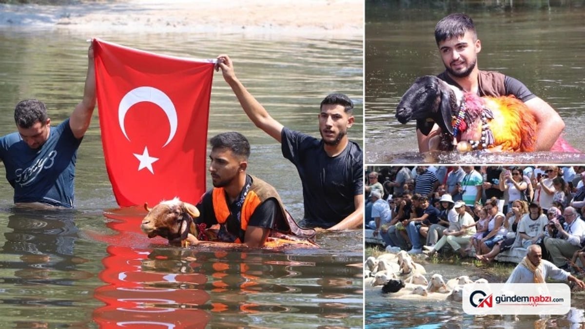 Denizli'de 853 yıllık Sudan Koyun Geçirme Yarışması yapıldı