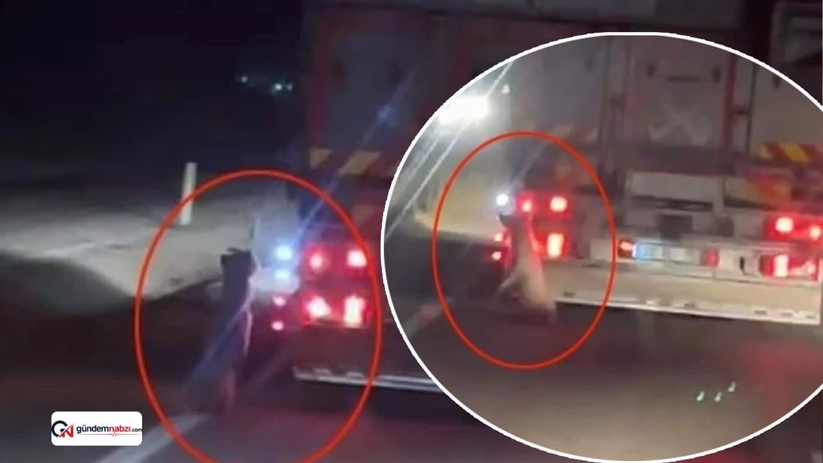 Denizli'de kamyonetin arkasına bağlanan köpek metrelerce sürüklendi