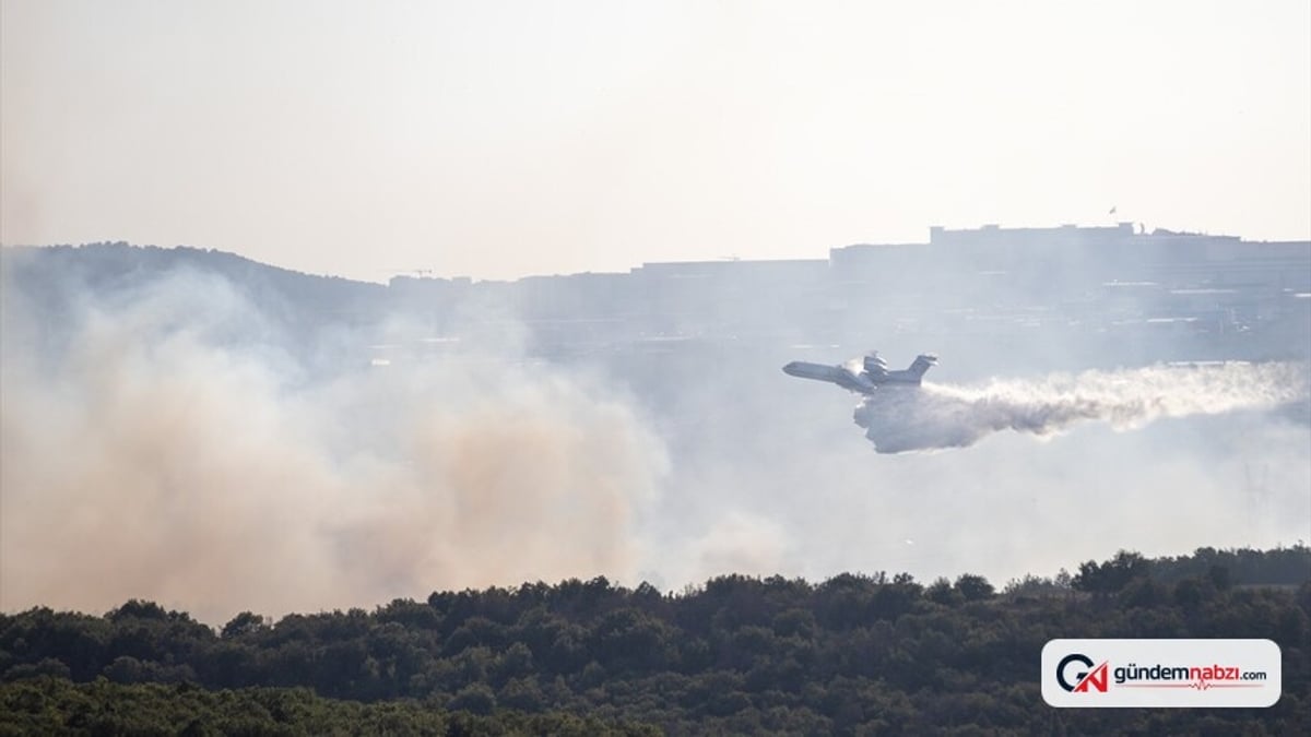 Kastamonu Taşköprü'deki orman yangını kontrol altına alındı