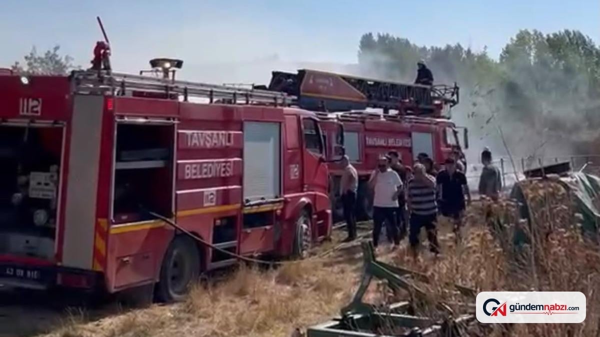Kütahya'da samanlık yangını çıktı