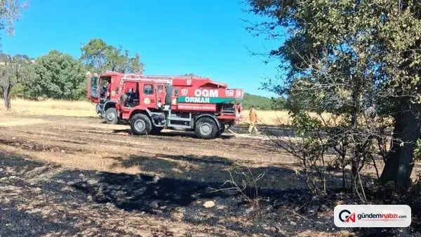 Kütahya'da tarlada yangın çıktı, 5 dekar alan zarar gördü