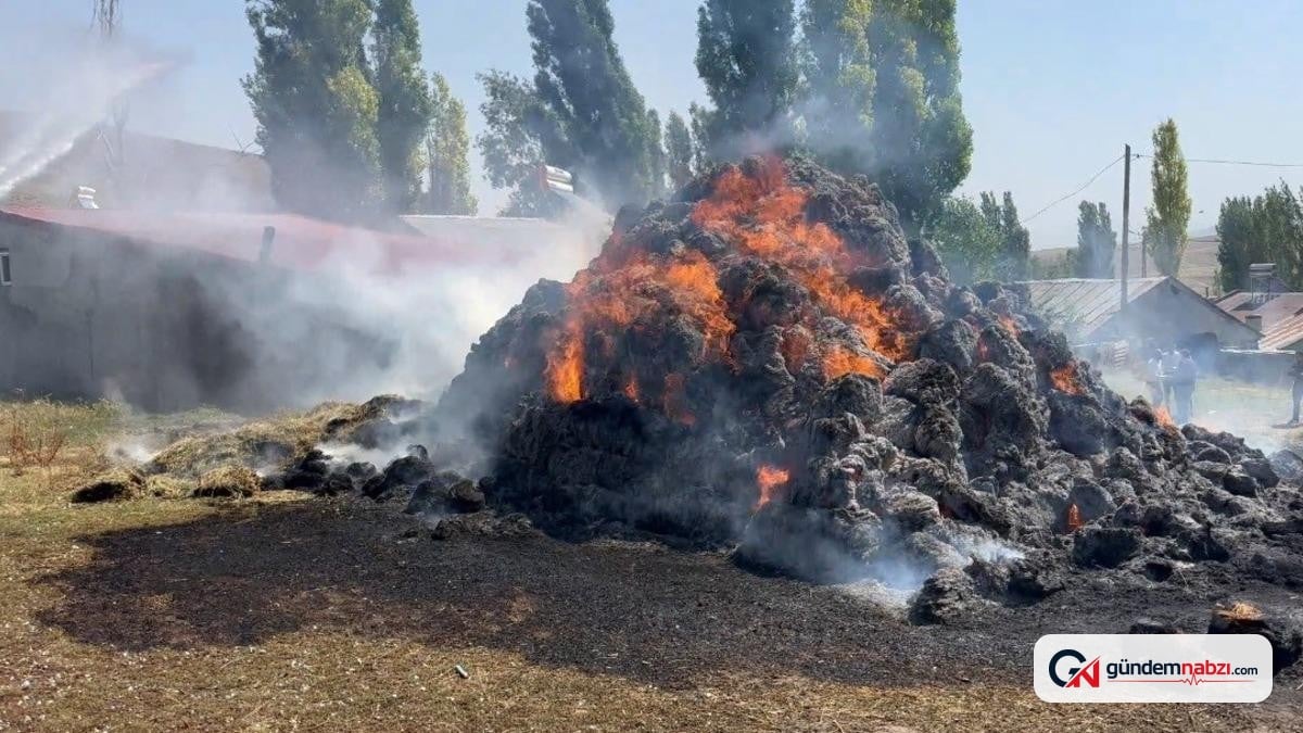 Kars Sarıkamış'ta bin balya ot yangında kül oldu