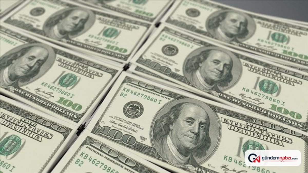 Reel sektörün net döviz açığı haziranda 205 milyar doları aştı