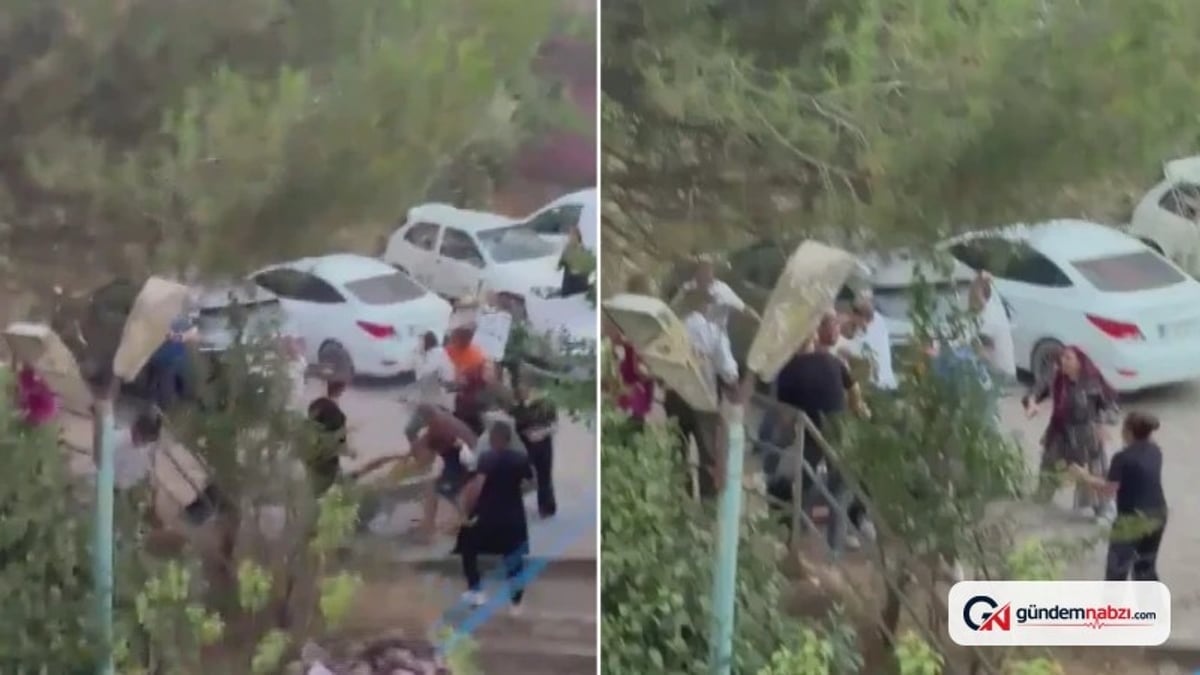 İstanbul'da köpek havlaması kavgası: 3 yaralı ve 2 tutuklama