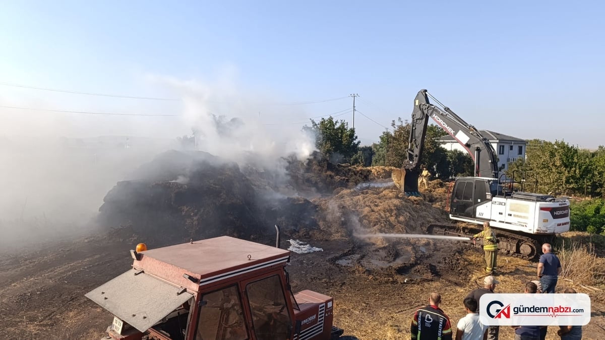 Balıkesir Gönen'de ot yangını çiftliğe sıçradı, 90 ton saman yandı