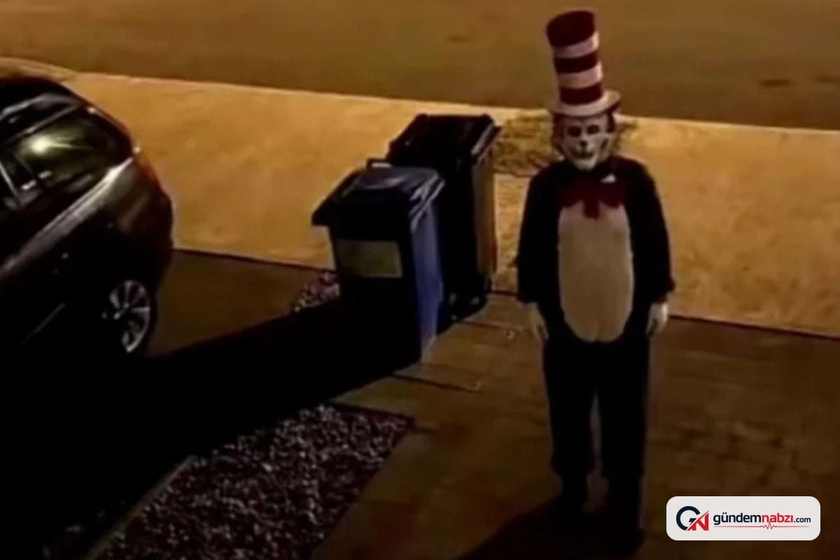 İngiltere ve İrlanda'da Şapkalı Kedi videoları yayıldı