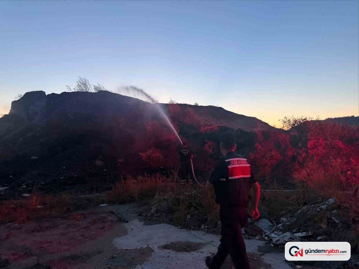 Bilecik'te ot ve çalılık yangını kontrol altına alındı