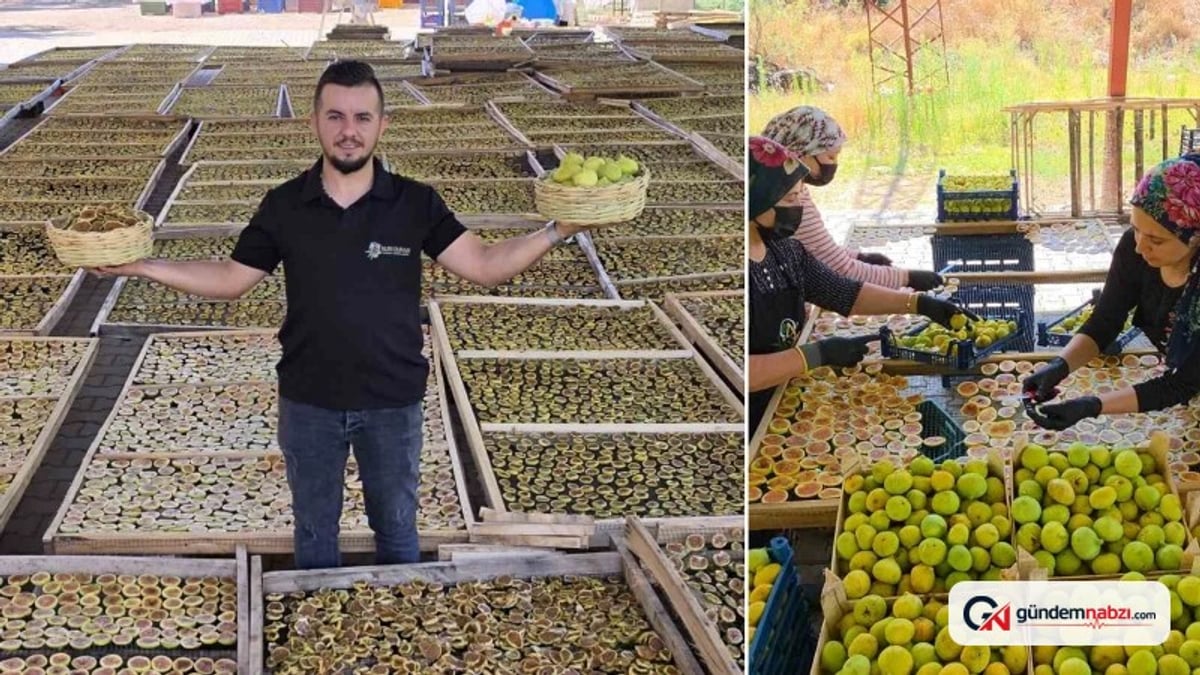 Aydın Nazilli'de incir cipsi üretimi katma değer sağlıyor