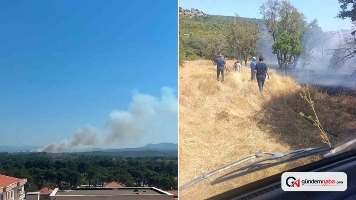 Çanakkale Ayvacık'ta otluk alanda yangın çıktı, ekipler müdahale ediyor