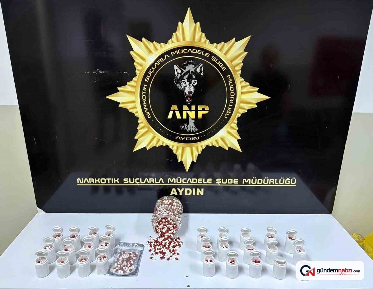 Aydın Efeler'de 2 bin 456 sentetik ecza ele geçirildi