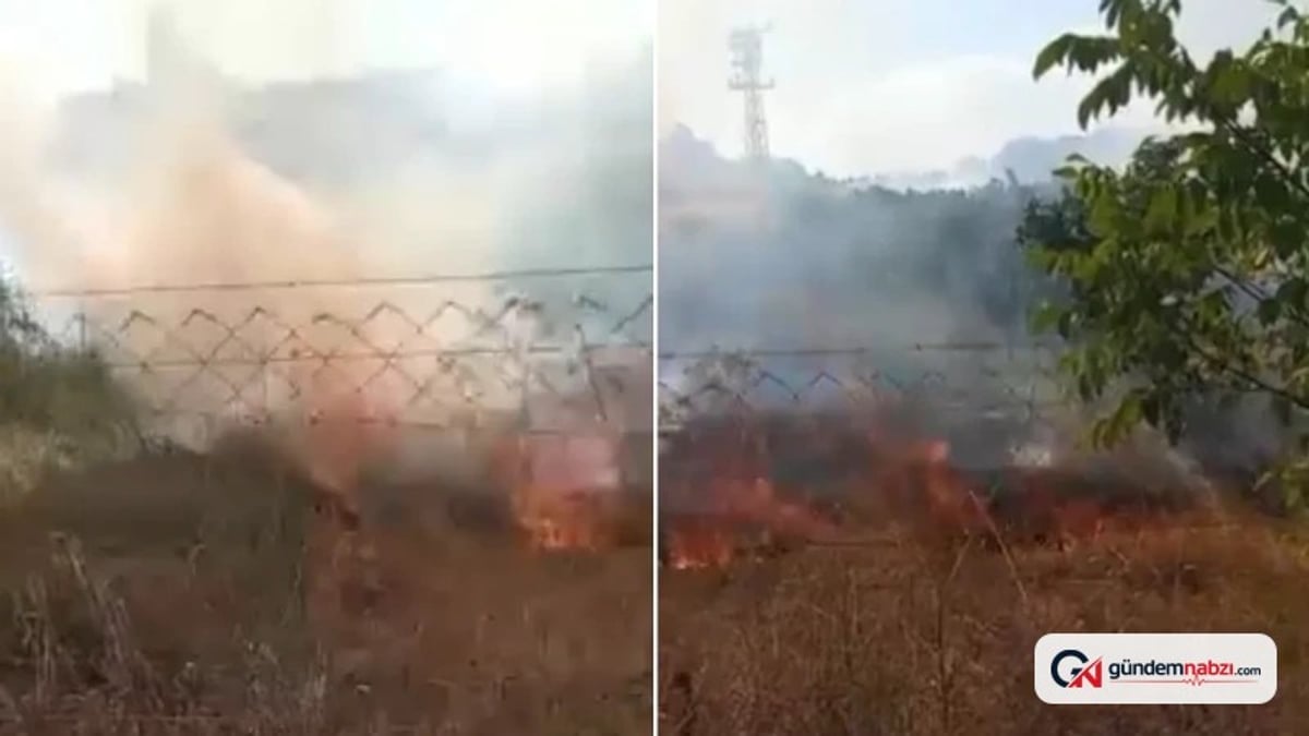 Eskişehir'de otluk yangını fidanlara sıçradı