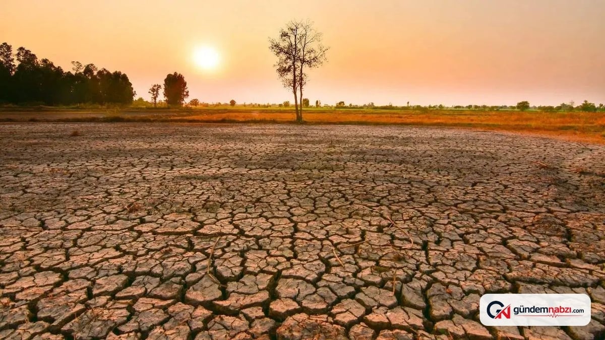 2026 sonbaharında güçlü El Niño bekleniyor