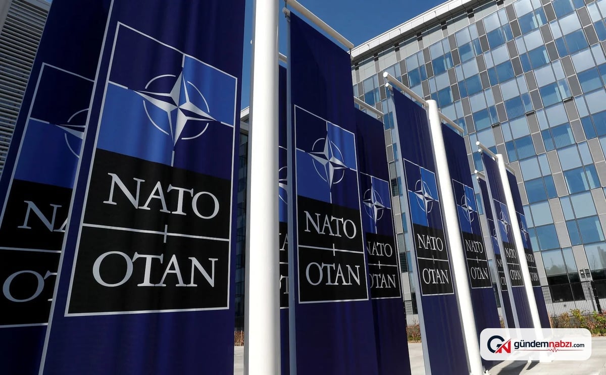 İsviçre hükümeti NATO karşıtı referanduma karşı çıktı