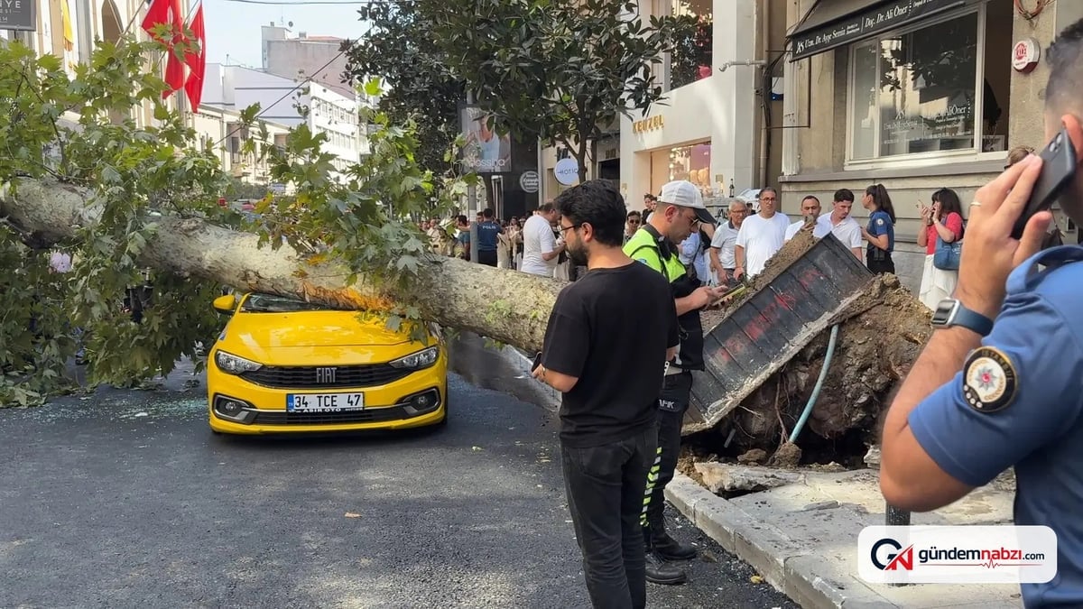 İstanbul Şişli'de ağaç iki aracın üzerine devrildi