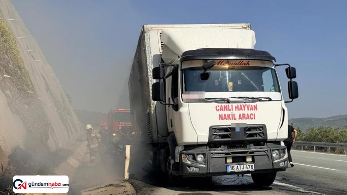 Gemlik yakınlarında nakil aracı yandı
