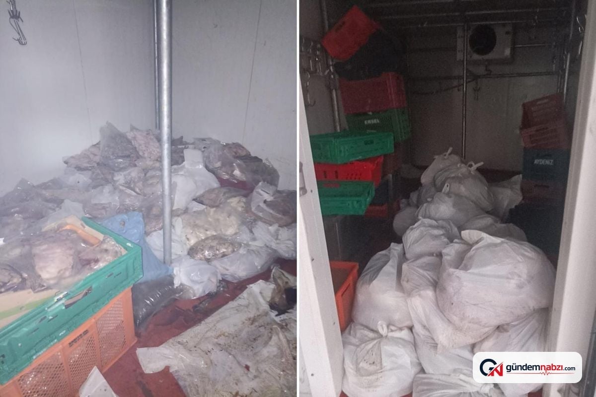 Muğla Bodrum'da kasap deposunda 400 kilo bozuk ete el konuldu
