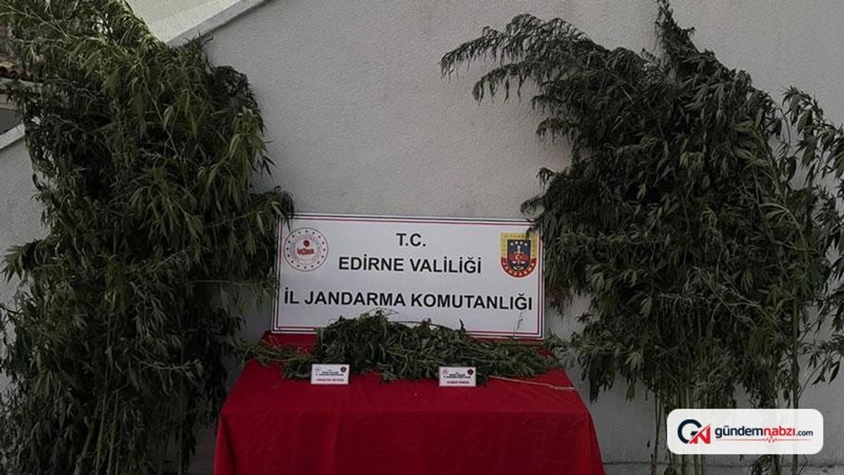 Edirne'de kenevir sulayan şüpheli suçüstü yakalandı