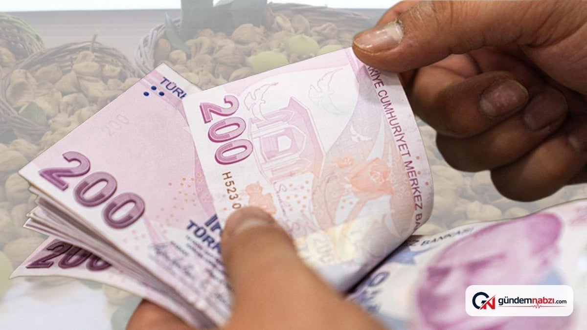 Aydın'da yeni sezon kuru incir borsaya teslim edildi