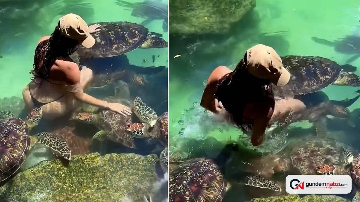 Kaplumbağalarla yüzen ünlü model Cynthia Benitez saldırıya uğradı