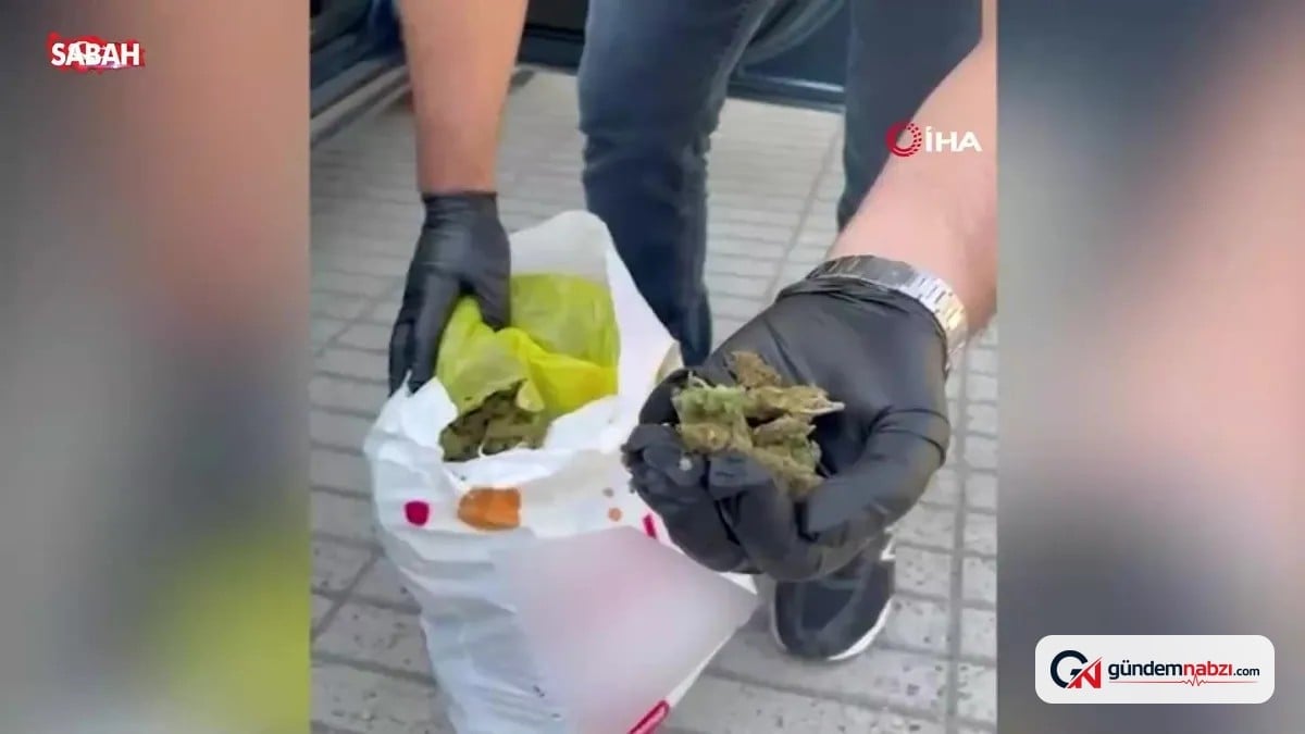 Denizli'de 3 kilo 25 gram skunk ele geçirildi