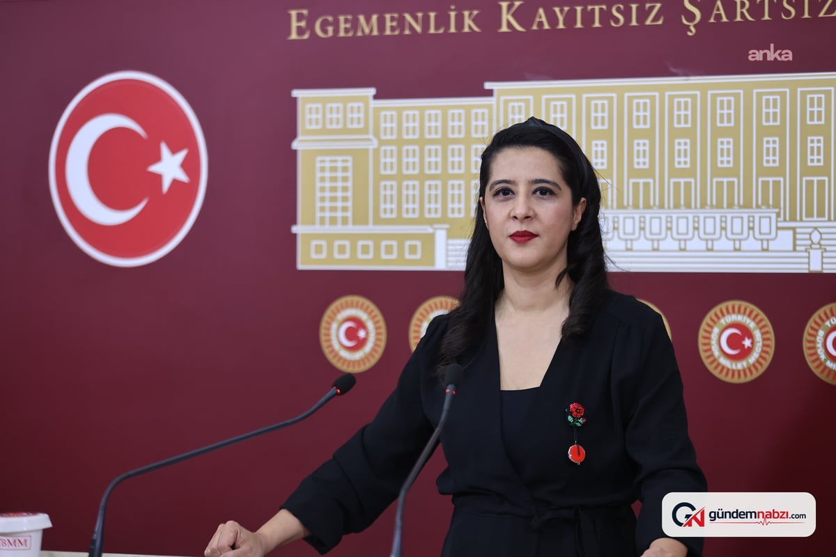 EMEP'li Karaca, Madran Dağı'ndaki Yangını TBMM gündemine taşıdı