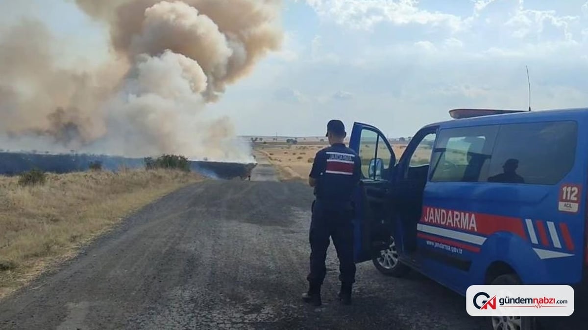 Edirne'de meralık alanda yangın çıktı