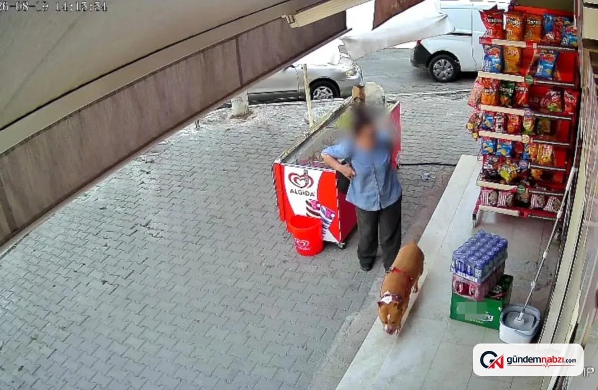 İzmir'de pitbull saldırısında parmağı koptu, şiir yazdı