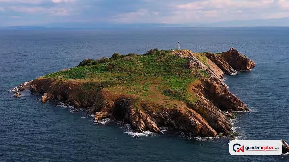 İstanbul'un en ıssız yeri Tavşan Adası yasaklandı