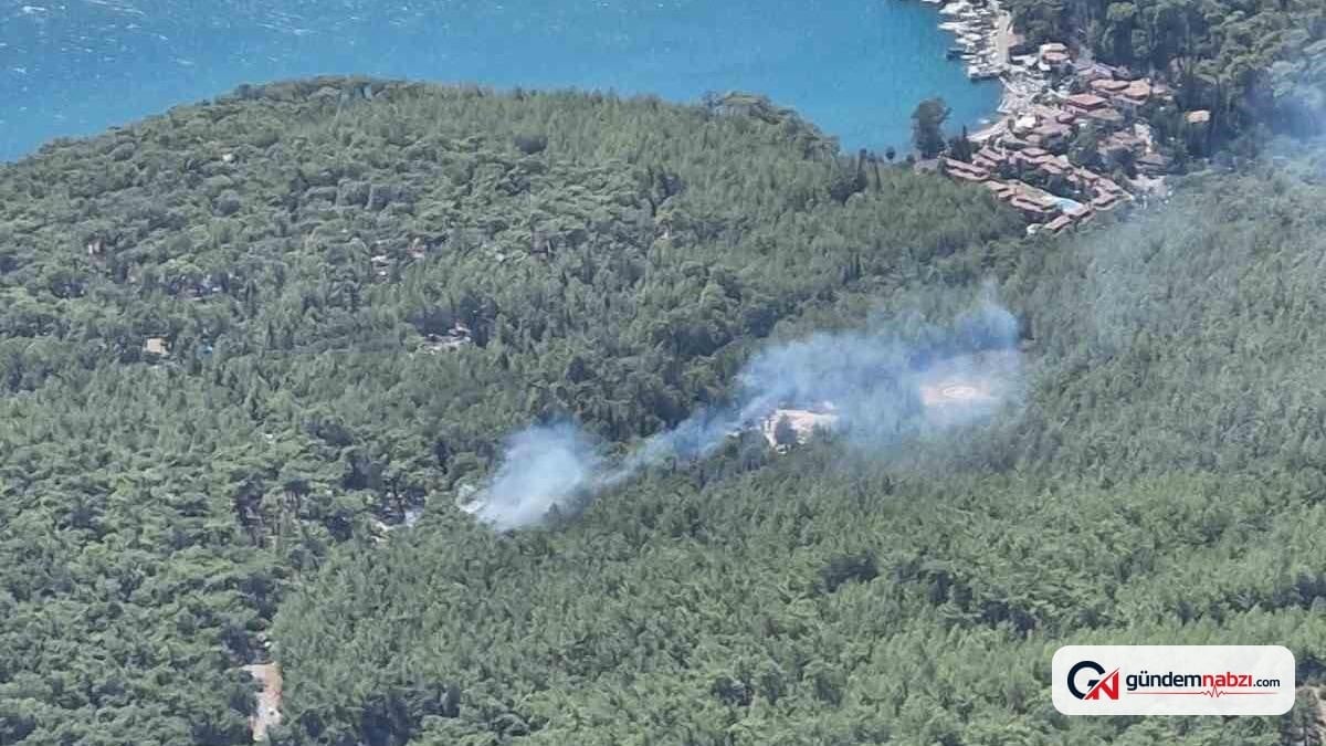 Akyaka'da orman yangını kontrol altına alındı