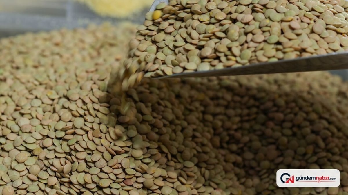 TMO yeşil mercimek alım fiyatını ton başına 32 bin lira olarak belirledi