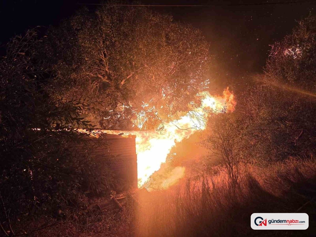 Elazığ'da odunluk yangını otluk alana sıçradı