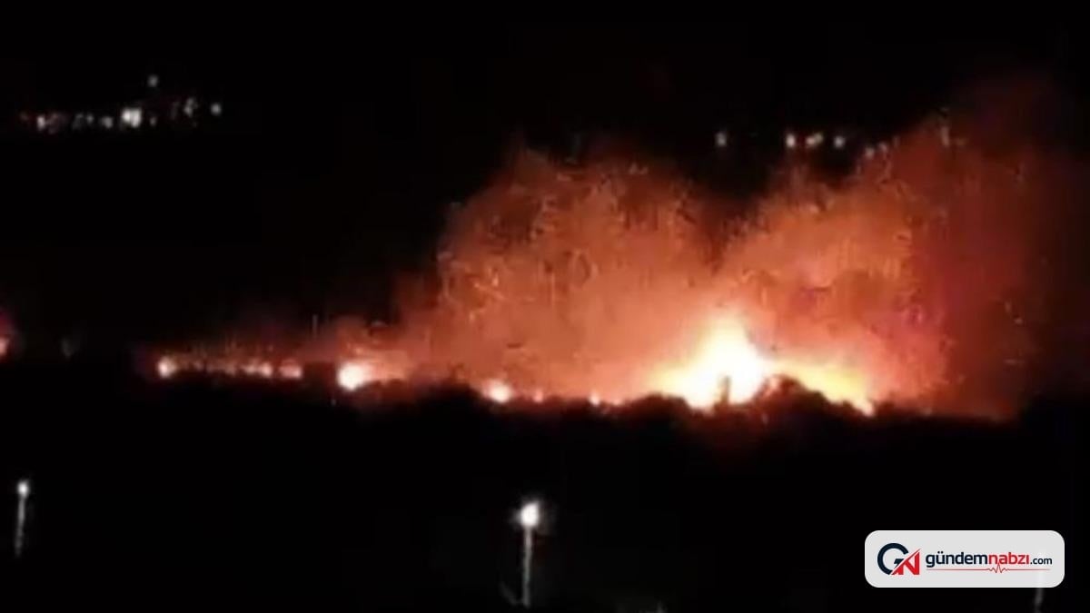 Denizli'de ovalık alanda yangın çıktı