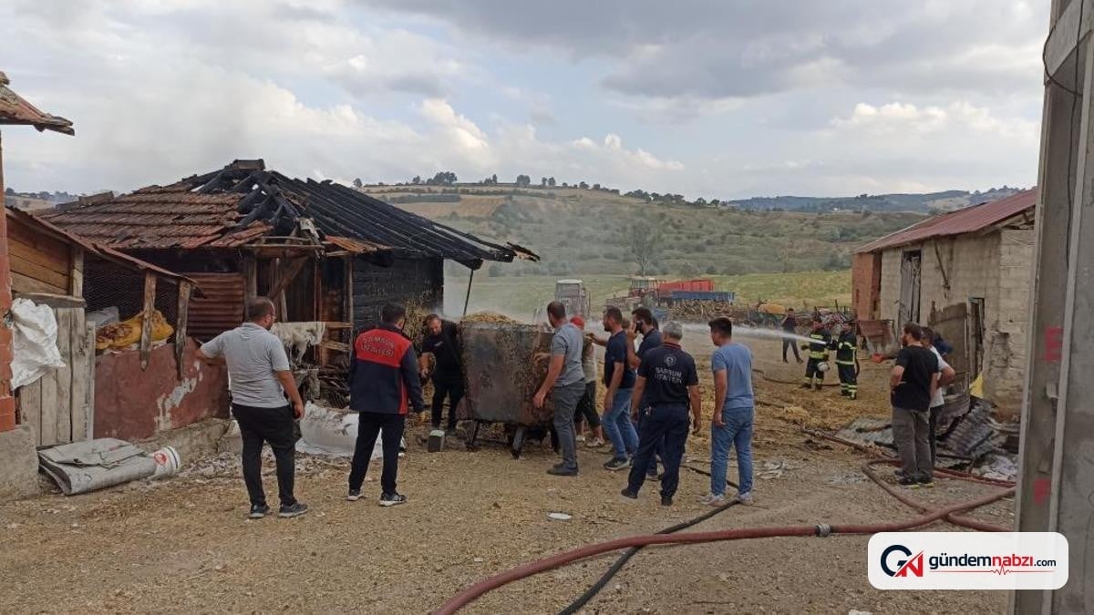 Samsun'da ambarda yangın çıktı: 7 ton buğday yandı