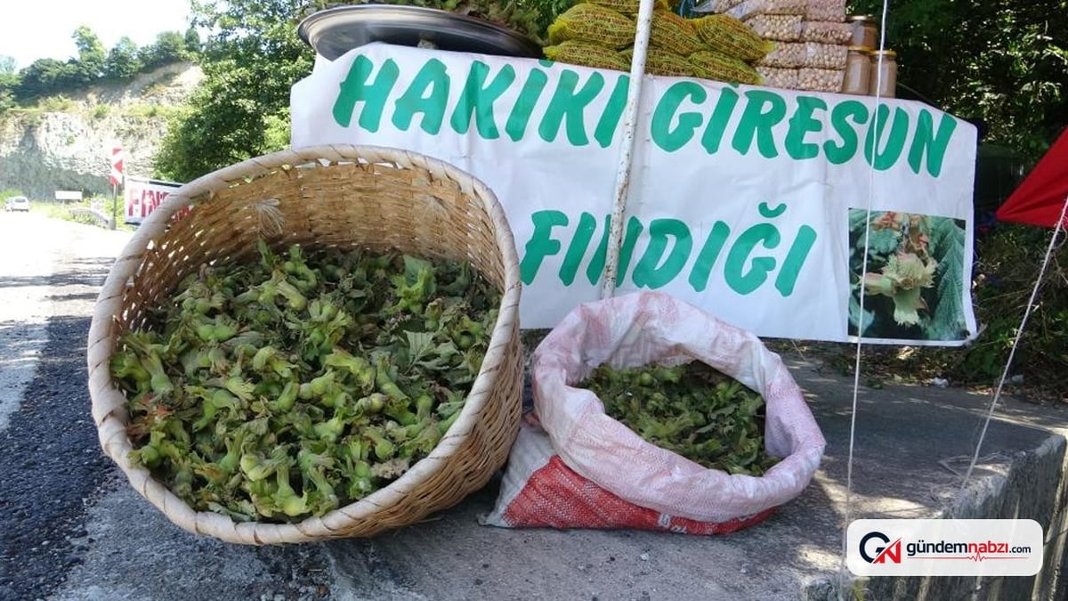 Yeni sezon fındığı tezgahlarda: kilosu 200 TL
