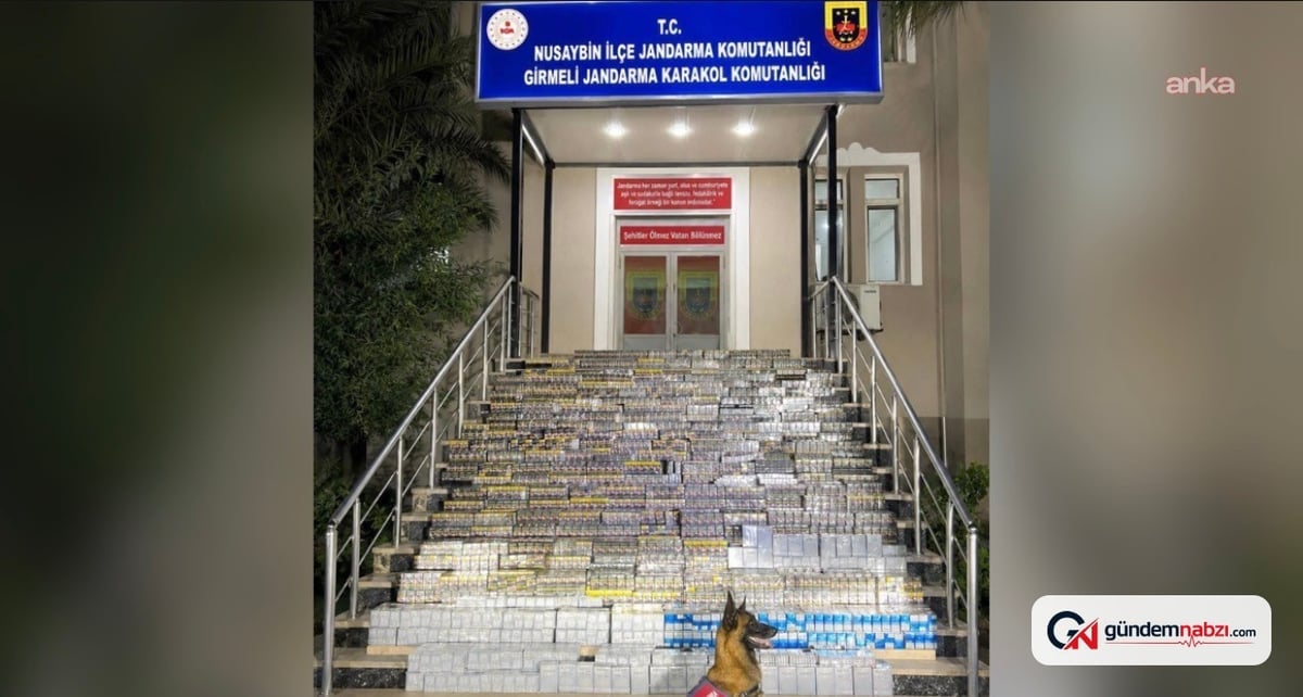 Mardin'de 18 bin 900 paket kaçak sigara ele geçirildi