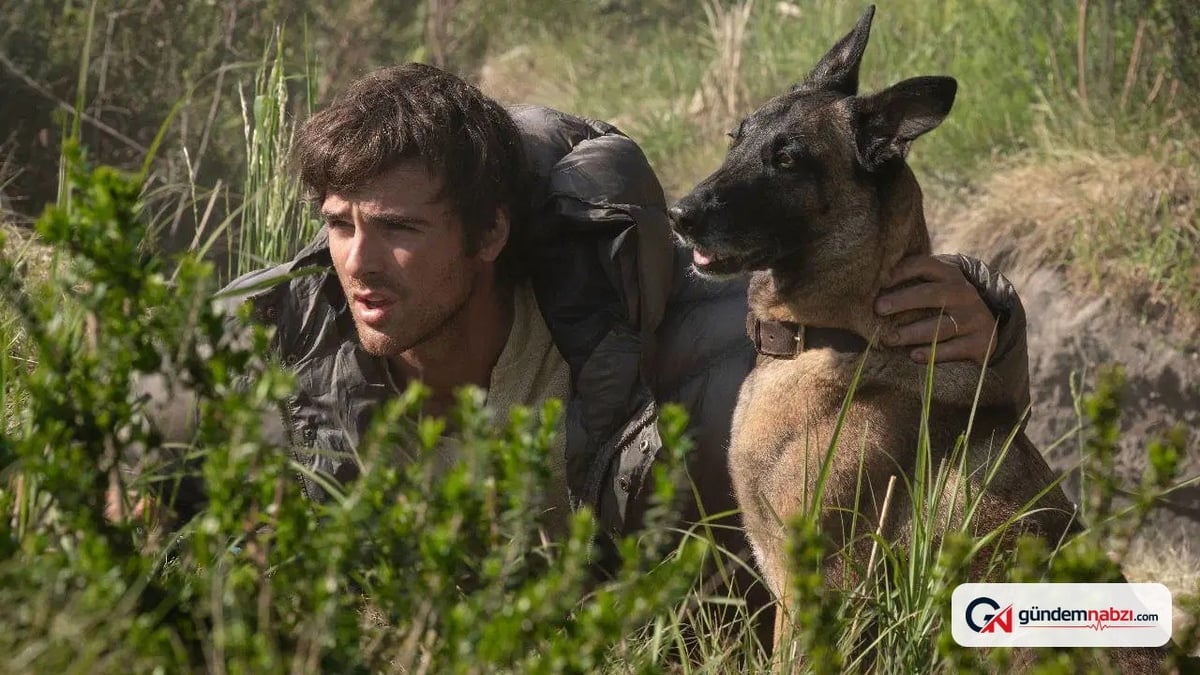 Ridley Scott'ın Köpek ve Yıldızlar filmi gösterime girdi