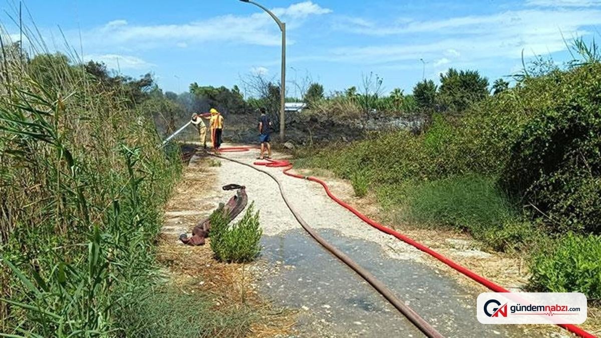 Antalya Manavgat'ta sazlık alanda yangın çıktı