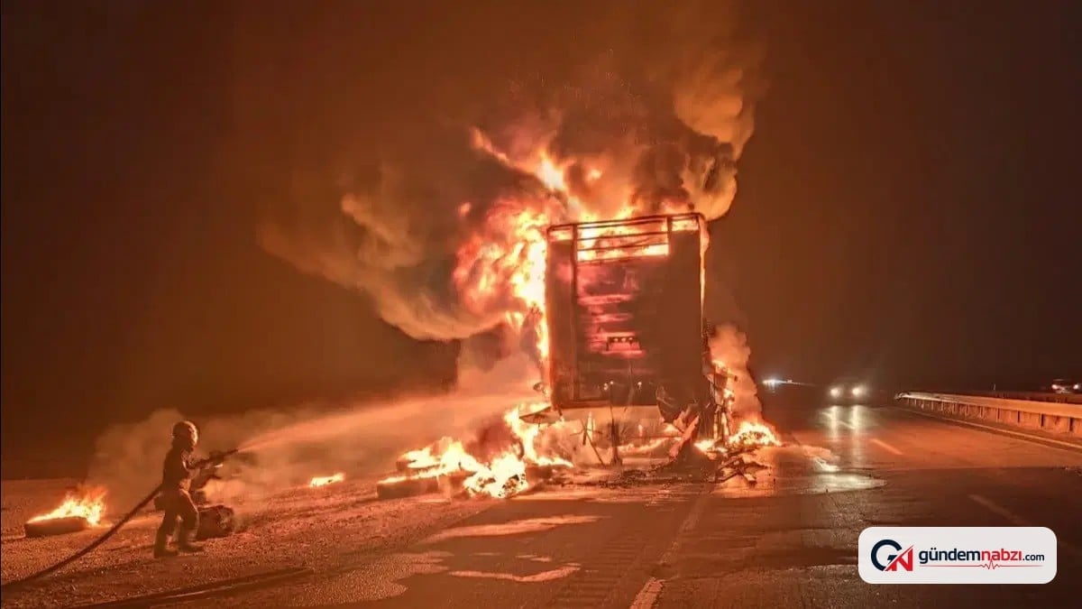 Mardin'de lastik yüklü TIR'da yangın çıktı