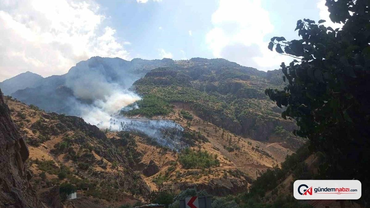 Hakkari'de orman yangınına giden arazöz Zap Suyu'na uçtu: 3 yaralı
