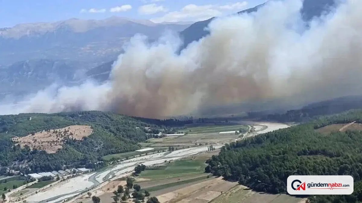 Diyarbakır Silvan'da örtü yangını ormana sıçradı